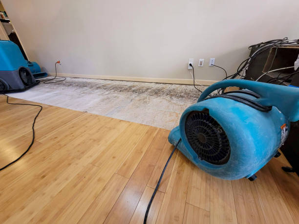 Professional Burst Pipe Water Damage technician working in Mingo, OH